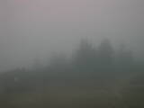 18 : 09