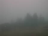 18 : 13