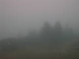 18 : 17