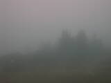 18 : 21