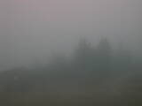 18 : 25