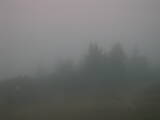 18 : 29