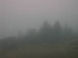 18 : 33