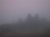 20 : 13