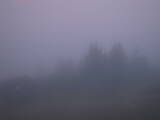 20 : 17