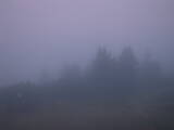 20 : 29