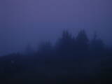 05 : 29