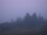 05 : 41