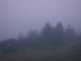 05 : 49
