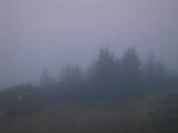 06 : 33