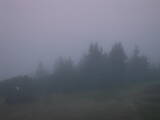 06 : 37