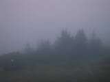 06 : 41