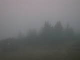 06 : 49