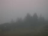 07 : 05