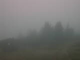 07 : 33
