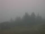 07 : 41