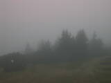 07 : 49