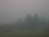 08 : 05
