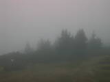 08 : 09