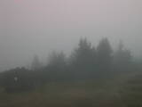 08 : 41