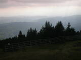 16 : 53