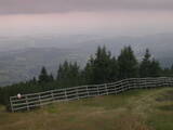 17 : 25
