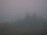 19 : 29
