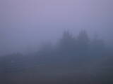 20 : 21