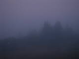 20 : 25
