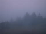 05 : 41