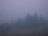 05 : 45