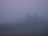 05 : 49