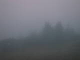 06 : 01