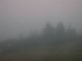 06 : 17