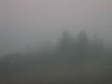 06 : 29