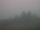 06 : 33