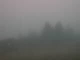 07 : 21