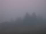07 : 29