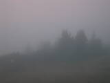 07 : 33