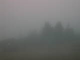07 : 41