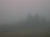 07 : 49
