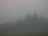 07 : 53