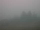 08 : 05