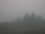 08 : 17