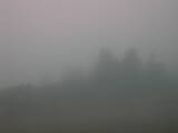 08 : 21