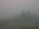 08 : 29