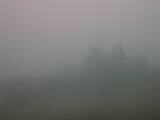 08 : 33