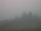 08 : 41