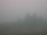 08 : 45