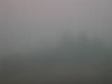 08 : 49